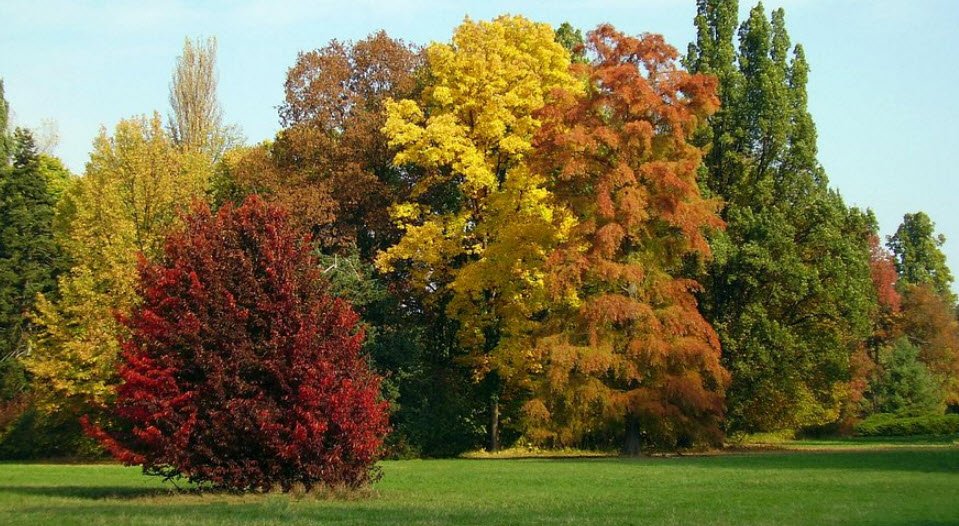 Szarvasi Arborétum, Hungary